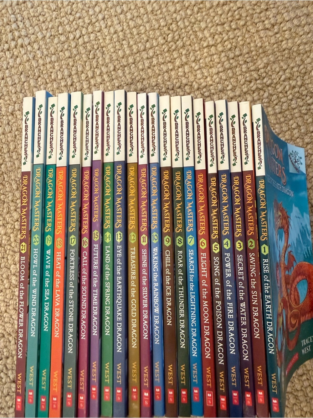 Dragon Masters Kids One Piece Book Set - Multicolor